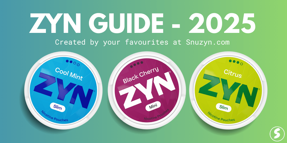 Understanding ZYN in 2025 – Complete ZYN Guide - Pouchland