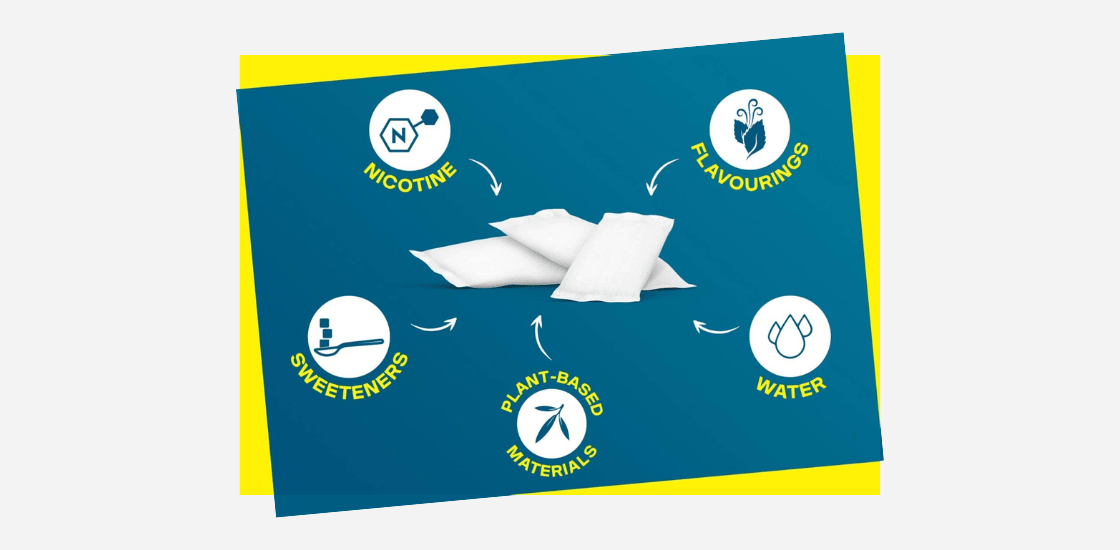 What Are Nicotine Pouches Made of? 7 Ingredients - Pouchland