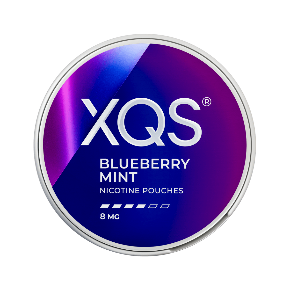 XQS Blueberry Mint - Pouchland